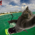 Kite Surfing Cat Selfie